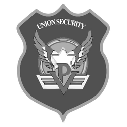 Divisa Union Security - Divisa vigilanza - Divisa pubblica sicurezza - Divisa security 
